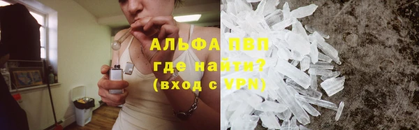сатива Покачи