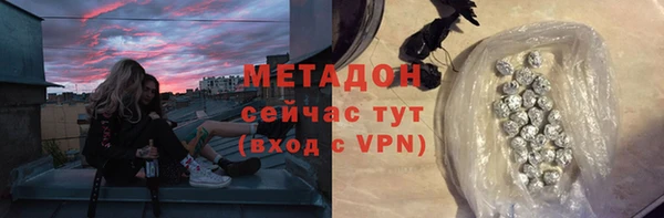 сатива Покачи