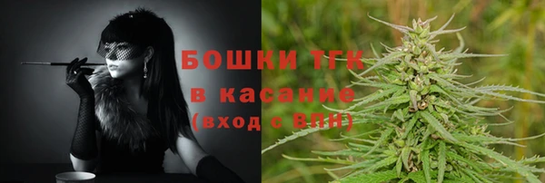 сатива Покачи