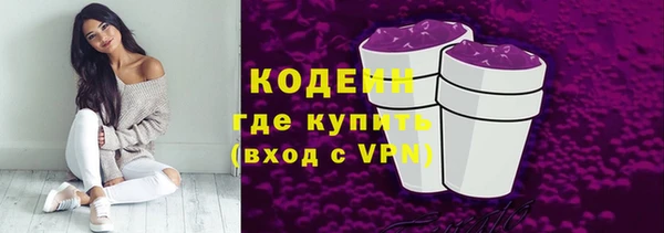сатива Покачи