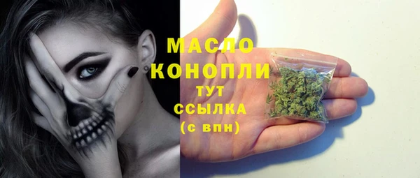 сатива Покачи