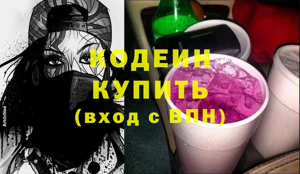 сатива Покачи