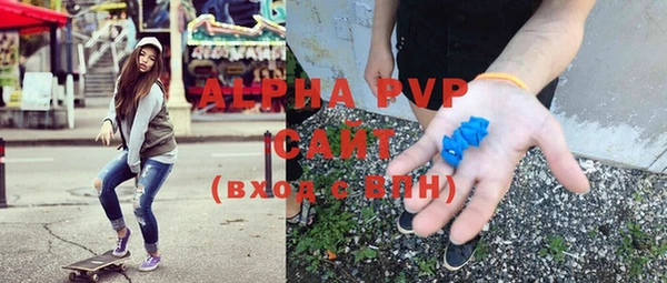 сатива Покачи