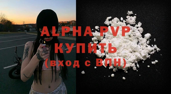 сатива Покачи