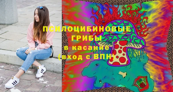 сатива Покачи
