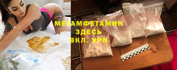 сатива Покачи